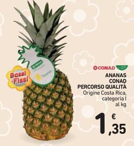 Offerta per Origine - Conad - Ananas Percorso Qualità a 1,35€ in Conad