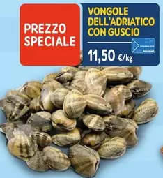 Offerta per Vongole Dell'Adriatico Con Guscio a 11,5€ in Sapore di Mare