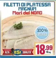 Offerta per Magnum - Mari del nord - Filetti Di Platessa a 18,99€ in Eurosurgelati Italia