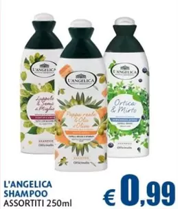 Offerta per L'angelica -  Shampoo a 0,99€ in Casa & Co