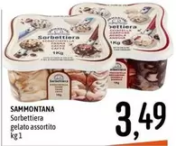 Offerta per Sammontana - Sorbettiera Gelato a 3,49€ in Emisfero