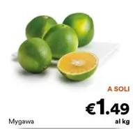 Offerta per Mygawa a 1,49€ in Unes