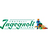 Logo Ingegnoli